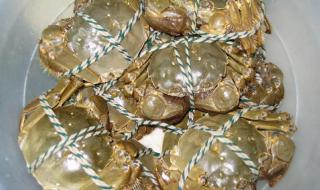 生螃蟹的最佳储存方法 活螃蟹怎么储存